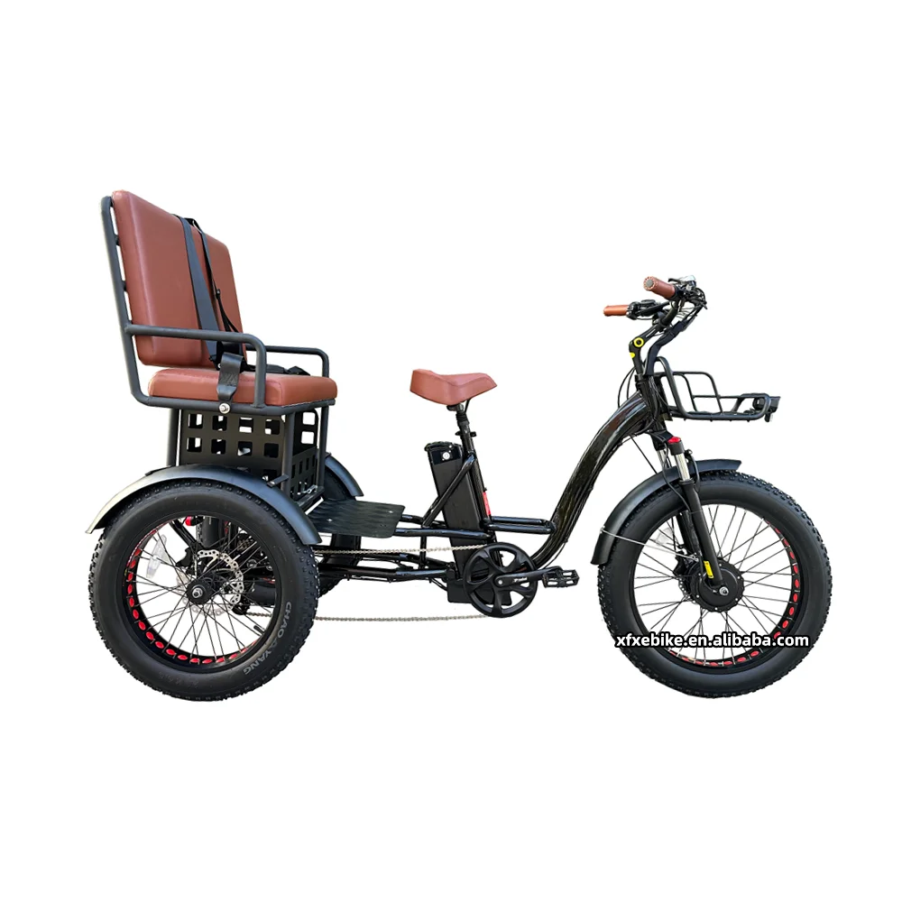 Max Loading 48V 19.2Ah Electric Cargo Bike 750W Rear Hub Motor 26Inch 3 Wheel Trike Ebike Bicycle electric tricycles