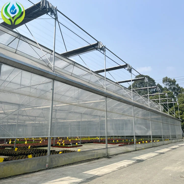 MYXL Economic Double Pe Po Film Multi Span Green House For Plants
