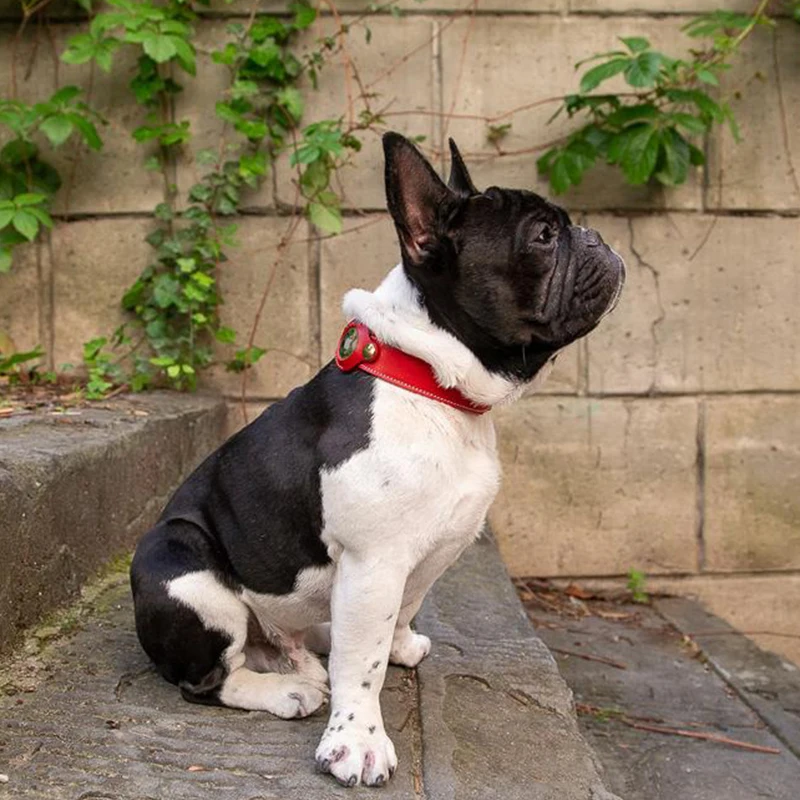 Pet GPS Tracker Factory Custom Black Real Leather Brown Genuine Leather Airtag Dog Collar