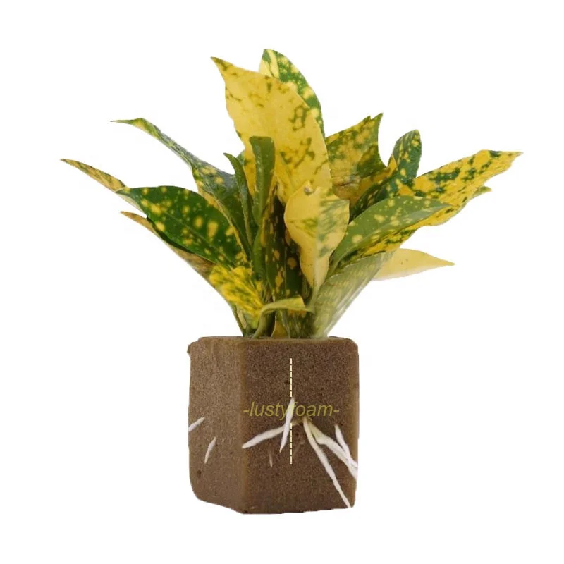 Раствор для выращивания саженцев meida, средство для выращивания корней, гитропонное средство для распространения, среднее средство для выращивания растений