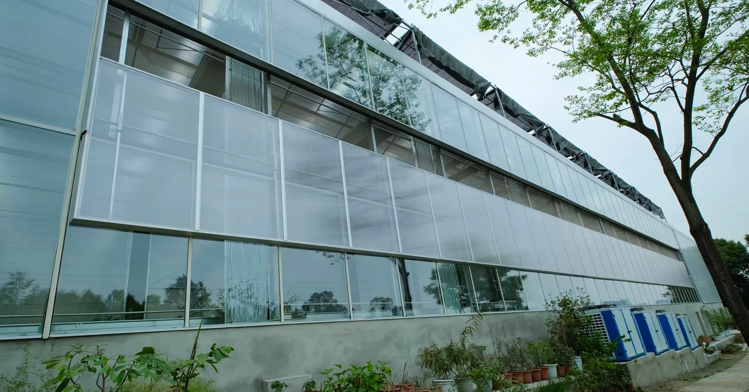 Jiapei greenhouse factory supply modern venlo greenhouse 8mm polycarbonate  agricultural greenhouses pc with hydroponic system