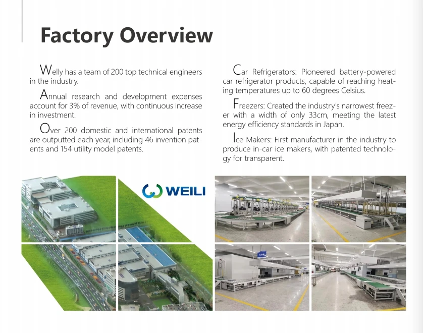 Factory Camping Refrigerators and Mini Fridge 110V DC AC 12v and Portable Compressor Car Fridge Freezer