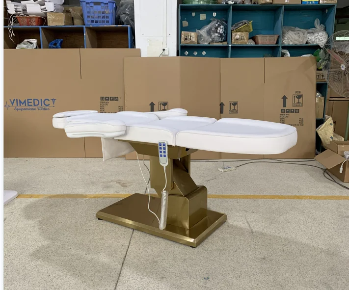 2024 Newest Hot Sale European Style Electric Beauty Bed With 3 Motors  Beauty Massage Bed For Beauty Salon