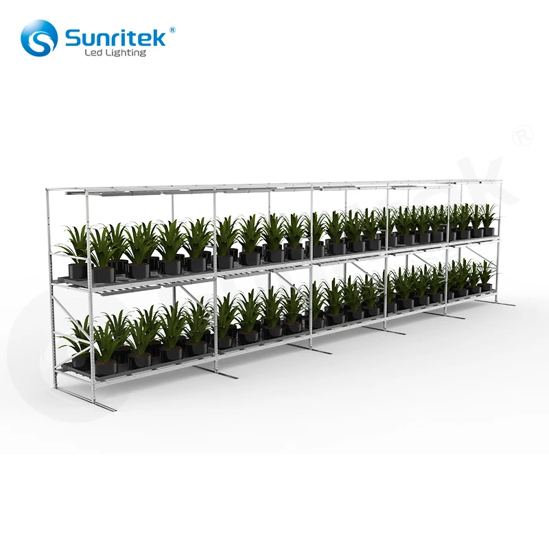 Warehouse Heavy Rack flood tray automatic irrigation hydroponic racking hydroponic Vertical Mobile Grow Rack With Trellis