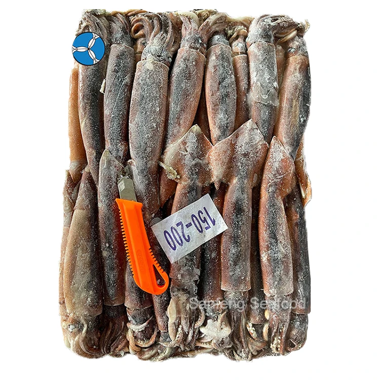 Высокое качество оптовая цена морепродукты большой размер кальмар Аргентина замороженные 800/900 Illex