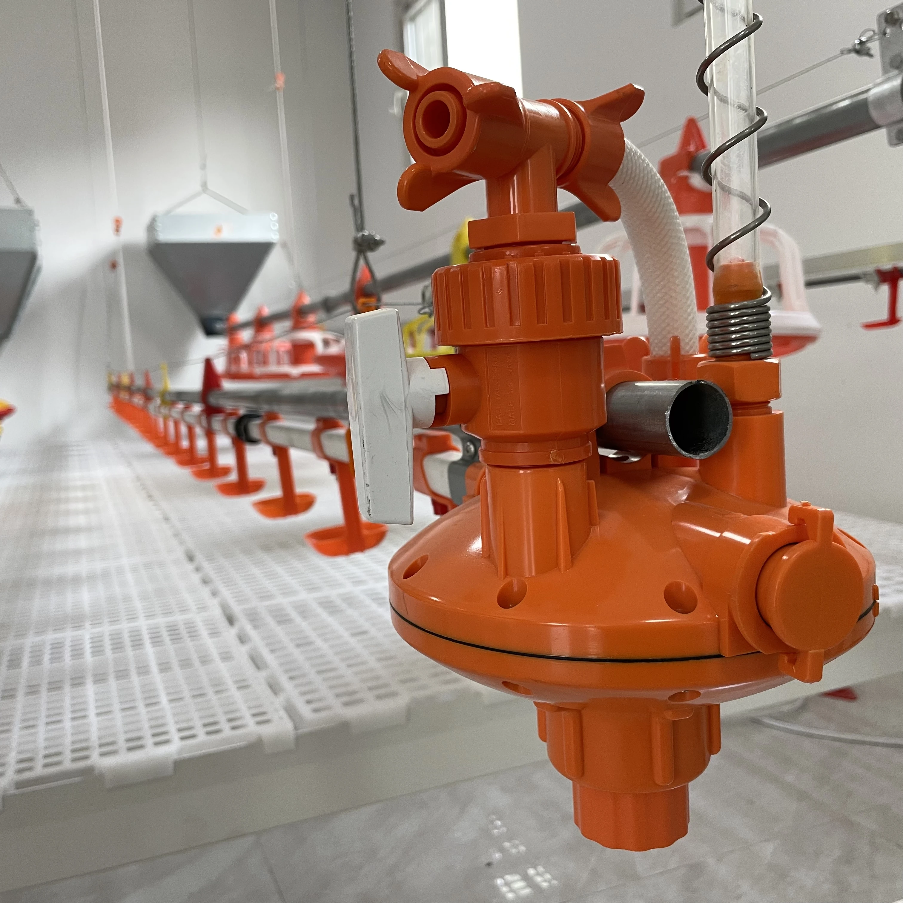 Chicken Farm House Automatic Pan Feeder Line Poultry Farming Automatic Feeder Drinking Nipple for Chicken AgriTwin Pan System