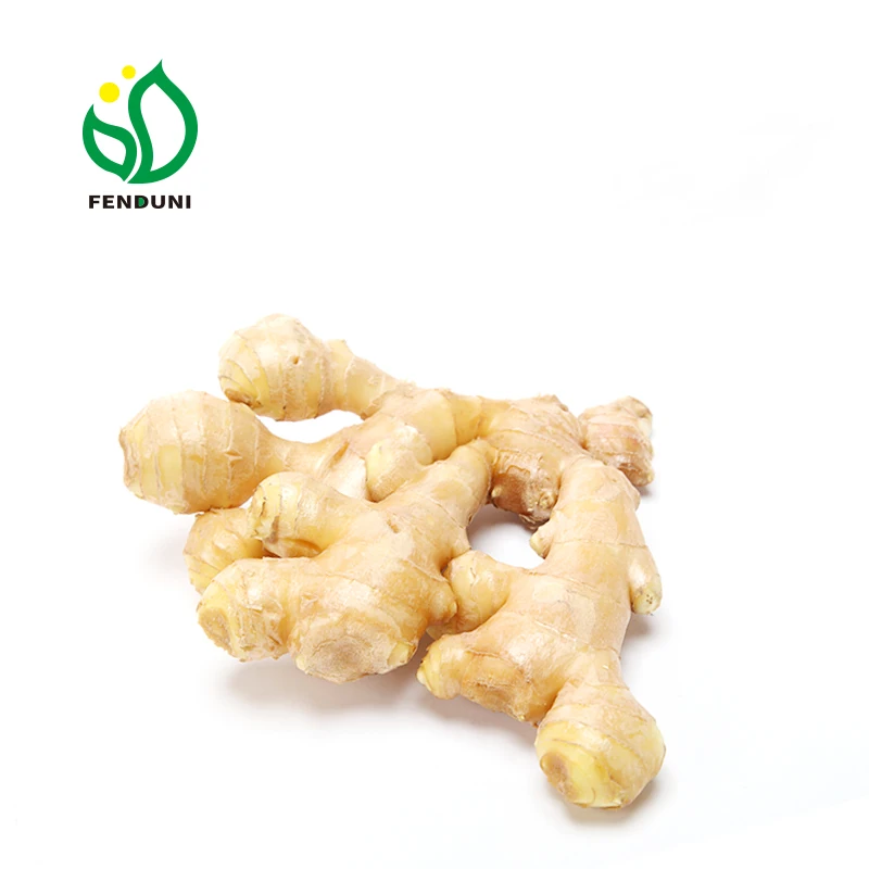100% Natural Quality Fresh Ginger Dry Ginger in Bulk For Sale
