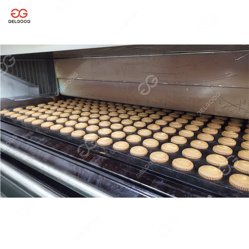 Commercial Fully Automatic Cupcake Processing Custard Pound Cake Making Madelaine Cake Production Line