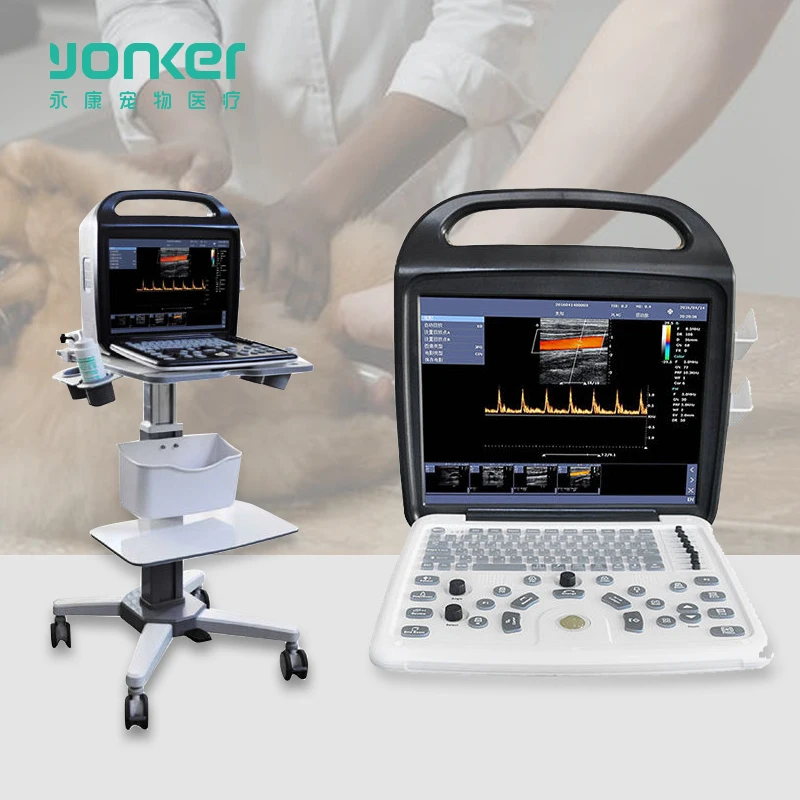 Yonker VP8 veterinary ultrasound for pet animals cat dog portable laptop type veterinary ultrasound scanner machine