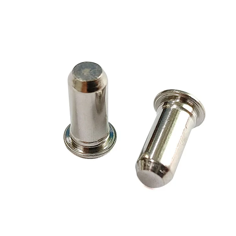 TPS  Stainless Steel Flush Head Locating Pilot Pin Self Clinching Pressure Riveting  Position Pin Dowel