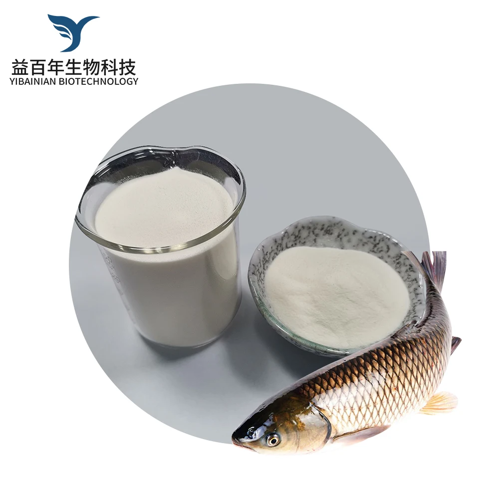 Антивозрастной здоровый пищевой неароматизированный морской порошок по низкой цене, небольшой молекулярный пептид коллагена для рыбы