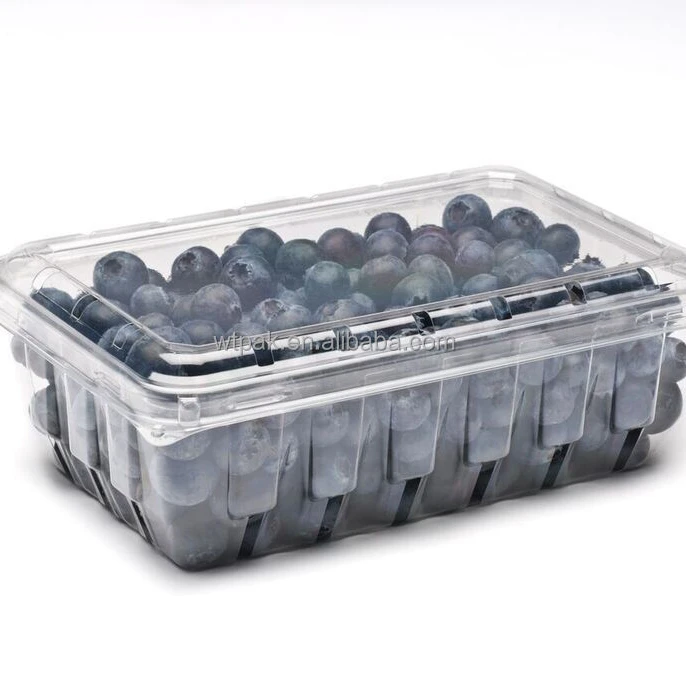 
High Quality Disposable Plastic Transparent Container Packaging Boxes For Blueberry 