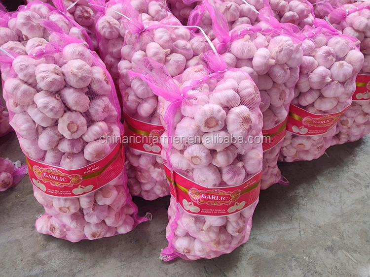 Garlic Chinese fresh pure white garlic for wholesale fresh vegetables in 20kg mesh bags/cartons factory price fresh white garlic