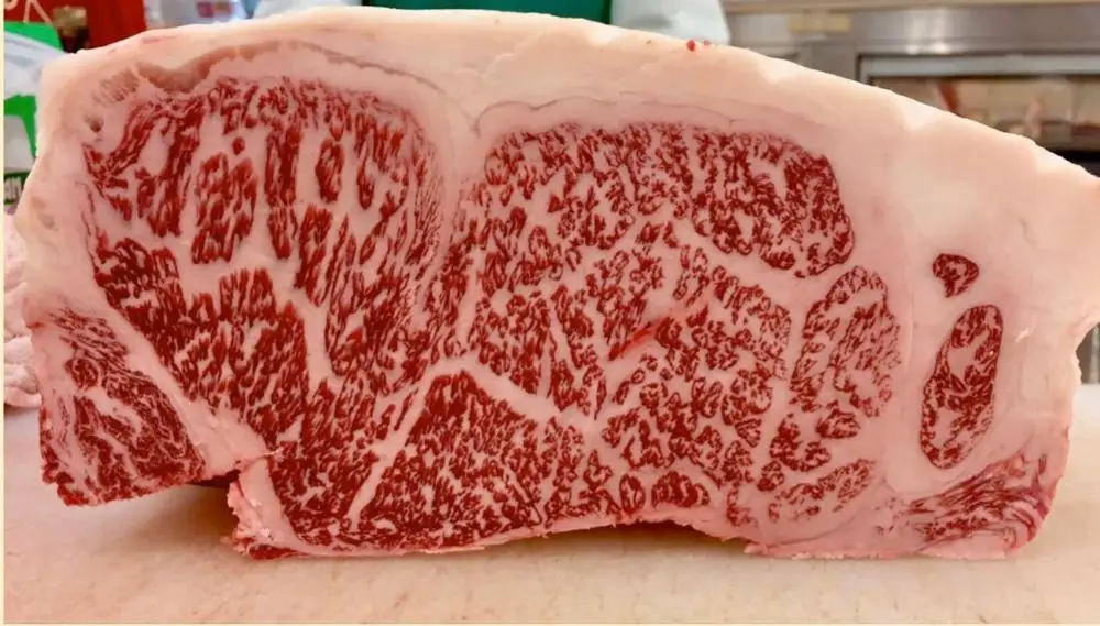 Japanese beef halal wagyu for yakiniku