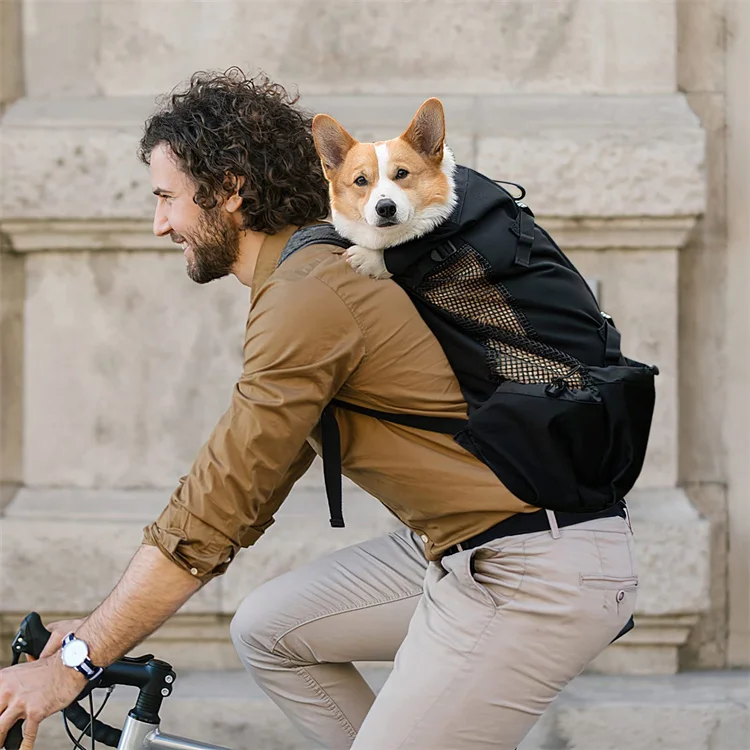 Wholesale high quality outdoor travel waterproof dog cat pet carrier backpack bag