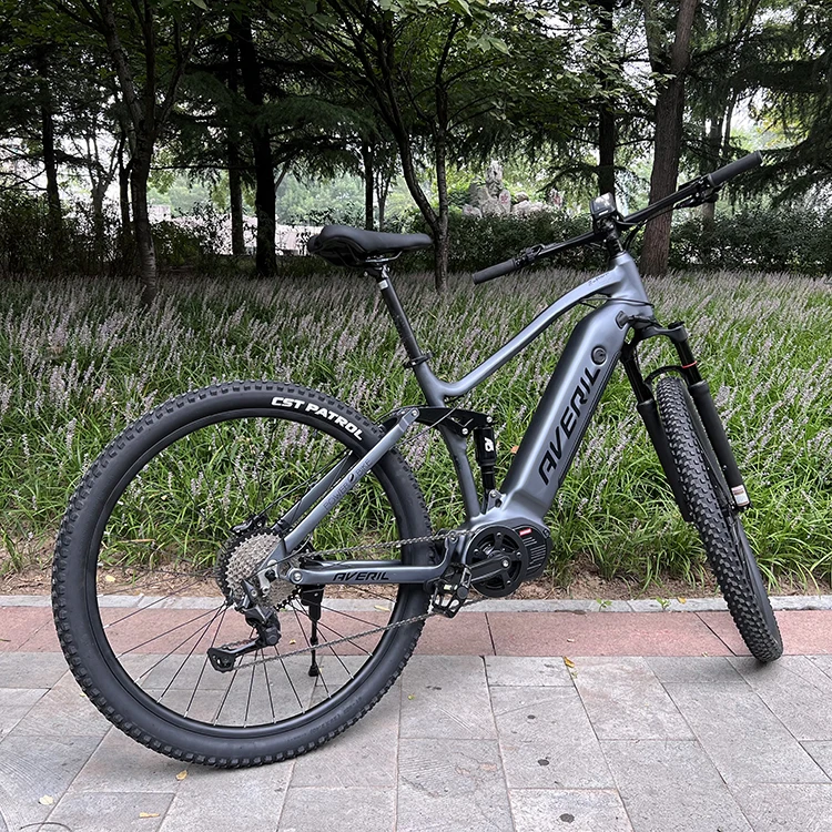 mid drive 750w electric mountain bike 29 inch 1000w eu 48V 20ah E-Bicycle 750w electric mountain bike US  warehouse