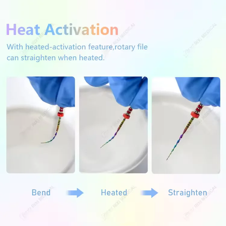 Dental Endodontics Reciprocating Rotary NITI Files 6pcs Heat Activated Root Canal Materials Oral Therapy Equipments Accessories