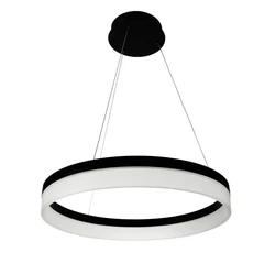 decorative circular loop black led modern pendant light