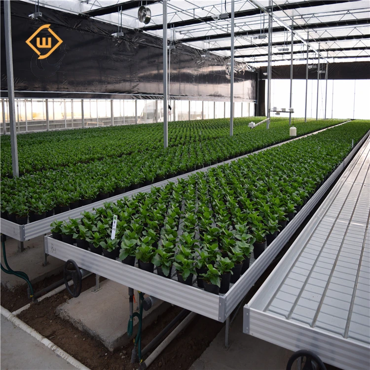 Ebb and Flow Rolling Benches Flow Systems for Commercial Greenhouse Benches Frame seedbed