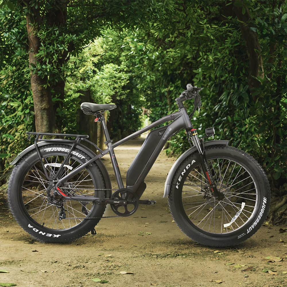 New design High quality e bike china manufacturer customized 16Ah electric bike 48V 500W/750W electric mountain bicycle