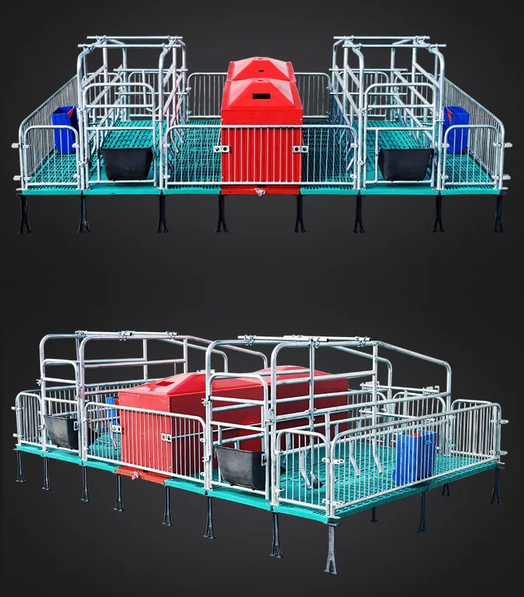 New Design Modern Piggery Equipment Pig Farm Farrowing Crates
