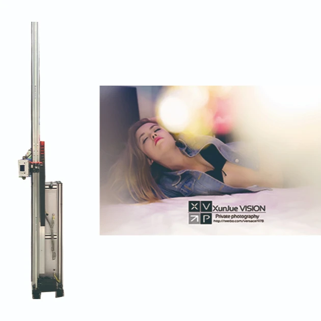 Professional Manufacture Cheap 3d Vertical Wall Plotter Painting Machine For Wooden Wall