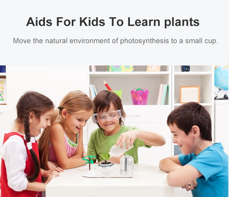 RY  2021 hot sale garden smart flower pot silicone mold fan home garden hydroponics plant growing succulent planting pot