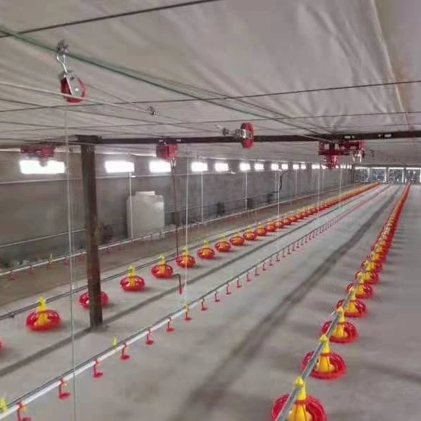 Hot sale automatic poultry feeder line pan feeding system for broiler