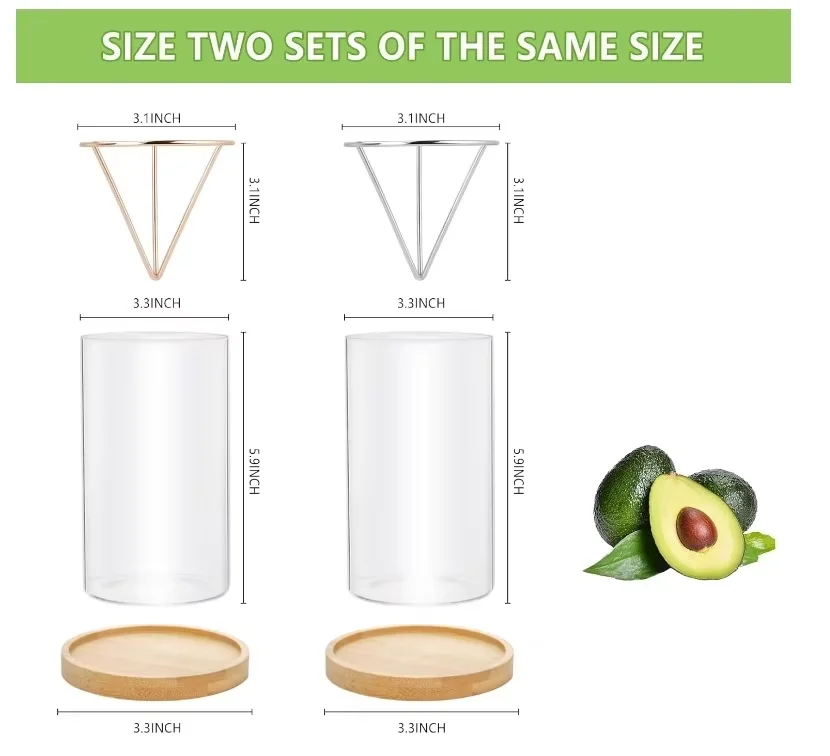 Indoor Planting Avocado Plant Growing Kits with Plant Pot and Wooden Base for Gardening Lovers