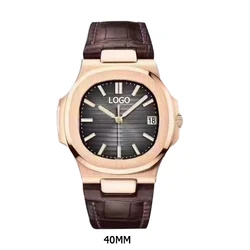 3A Quality Luminous Waterproof  Sapphire Glass 904L Stainless Steel Automatic PP Watches