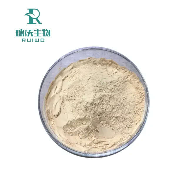 Best Selling 99% Garlic Seed Powder Natural Plant Extract