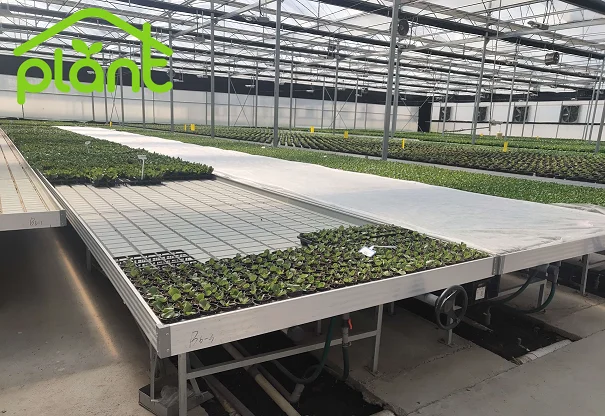 2021 высококачественный Настольный лоток для семян теплиц