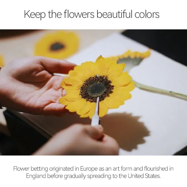 New Educational Toy Kit Plants And Flowers Specimen Making and Saving Kit Kids Science Experimental Toy