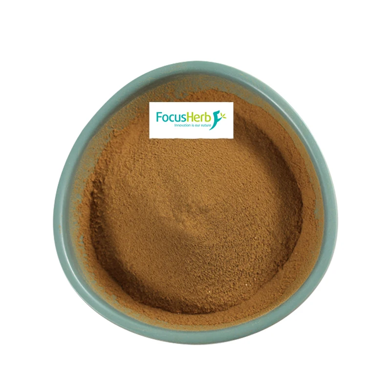 
FocusHerb Astragalus Root Extract Powder Astragaloside IV 