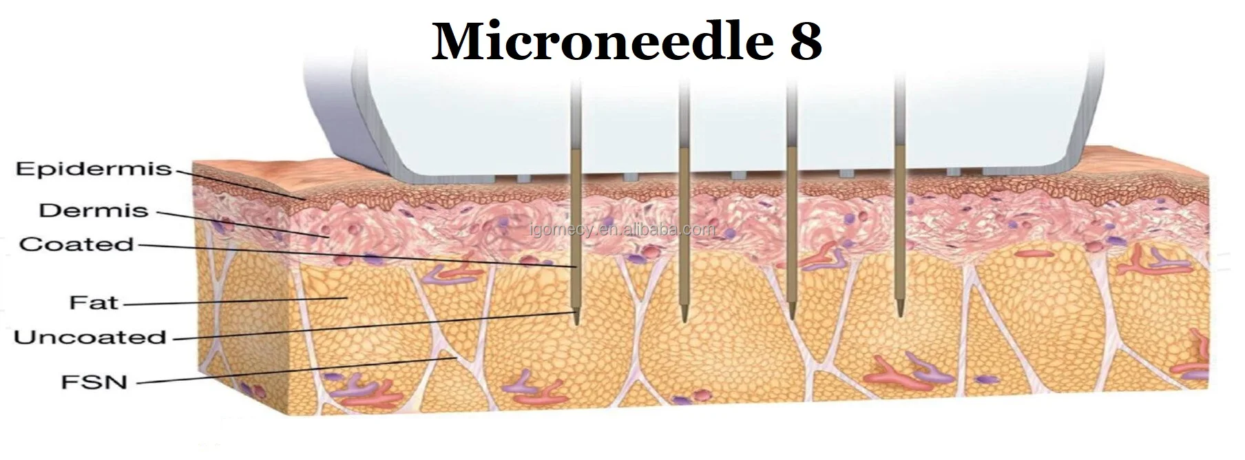 Morpheus-8-Wrinkle-Remover-Fractional-Radio Frequency-Vivace-Rf-Needle-Skin Tightening-Disposable Microneedling-Machine-Hot-Sale