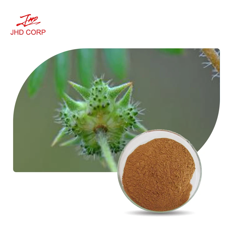 Более 20 лет заводской поставки пищевых продуктов общего количества сапонинов трибулус террестрис экстракт порошка