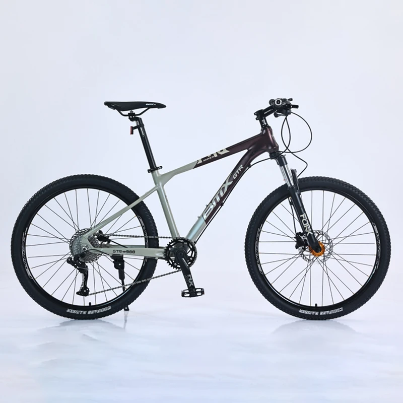 Xthang горный велосипед Bicicleta алюминиевый сплав Шпаклевка каркас для обработки шпаклевки передняя вилка 10 скоростей X-park гидравлический Тормоз MTB