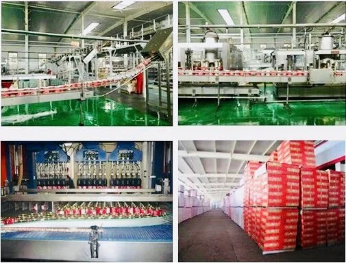 turnkey plant for the production of sauces, ketchup and tomato paste
