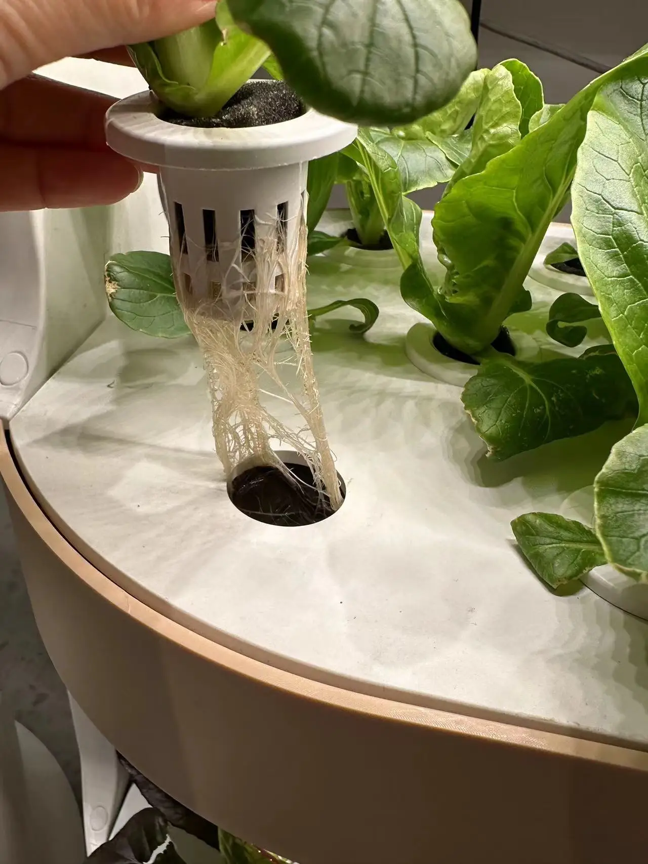 China factory greenhouse Indoor soilless planting frame vegetable hydroponic system