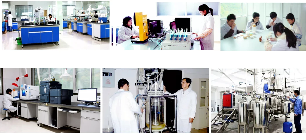 18 Years food flavor manufacturer good quality kimchi flavor powder supplier liquid food flavor  with free sample