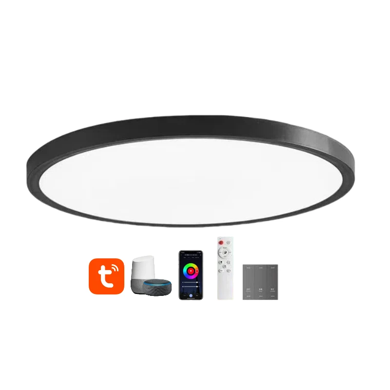 Hot Low-profile Tuya Voice Freedom Ultra-thin 2.5cm Ceiling Light Smart Bedroom Light Support Voice Control