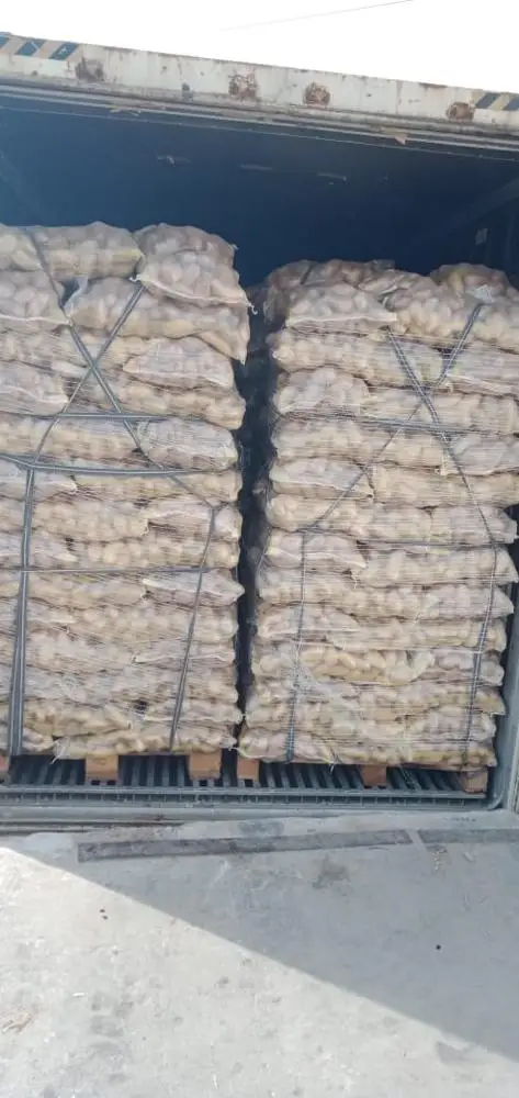 Fresh Potato, Potatoes , Spunta , Washed, Clean Potatoes