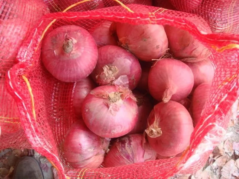 New Season Fresh Chinese Vegetables Red Yellow Onion Price Per Ton For Onion Buyer