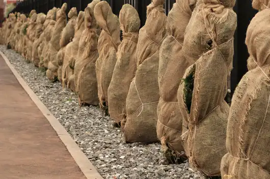 Natur Fabric Jute Fabric Burlap Use For Protect Plants and Decorations