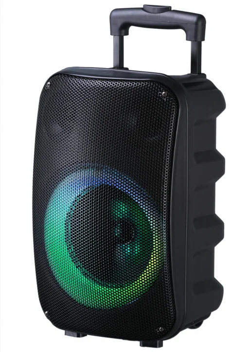 Xinvo 2022 wholesale New style ready to ship factory price portable wireless  karaoke speaker