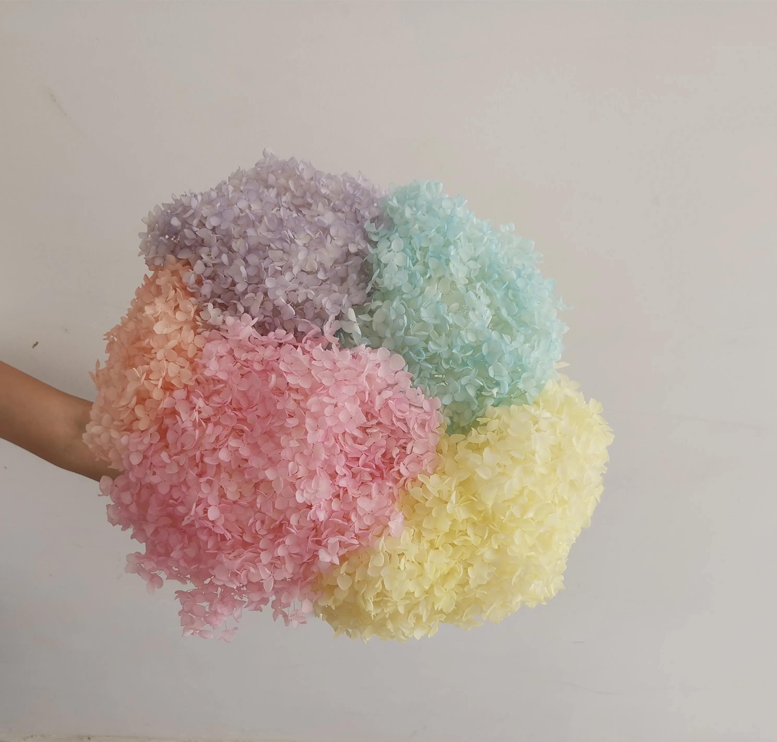 Ins Long Lasting Preserved Stem Flower Preserved Single Anna Hydrangea For Wedding Decoration