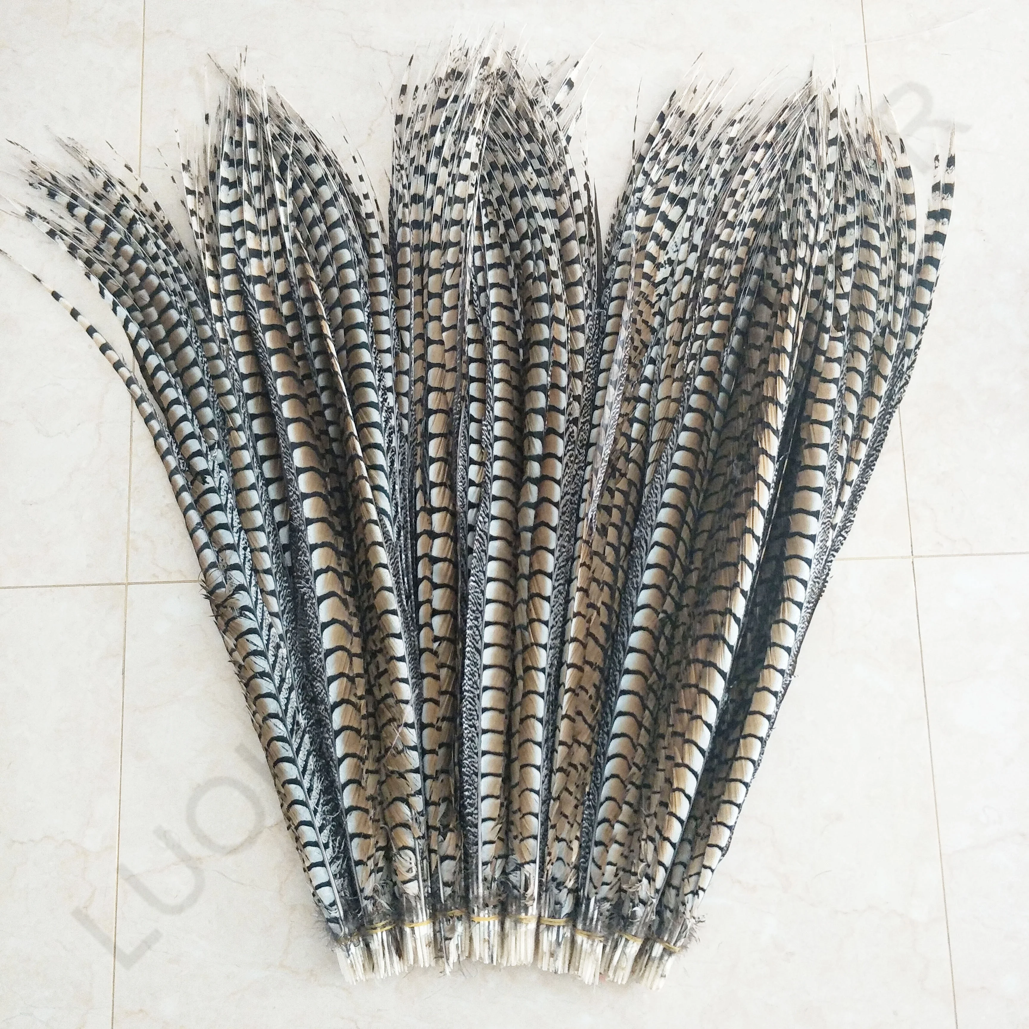 110-120cm dyed pheasant feather for sale nature color pheasant feather pluma de faisan