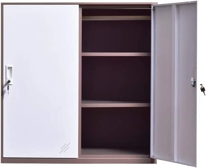 Metal 2 Door small locker for office school and home with hanging rail and removable shelf inside