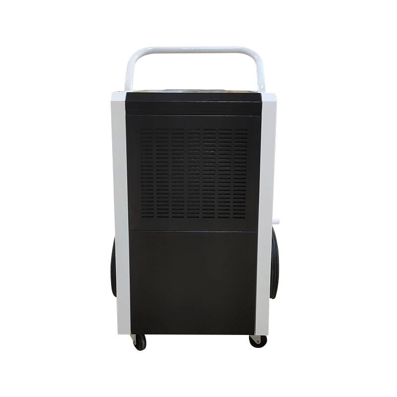 High-selling super sieve dehumidification rotor customizable air purifier with ducted pool dehumidifier 50l