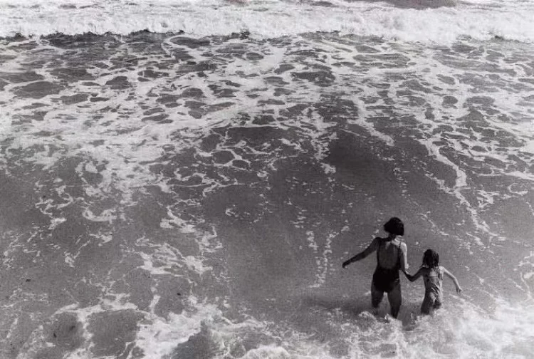 1 ROLL AGFA APX 100 135mm Black and White Professional ISO 100 Negative film 36 Exposure Per Roll